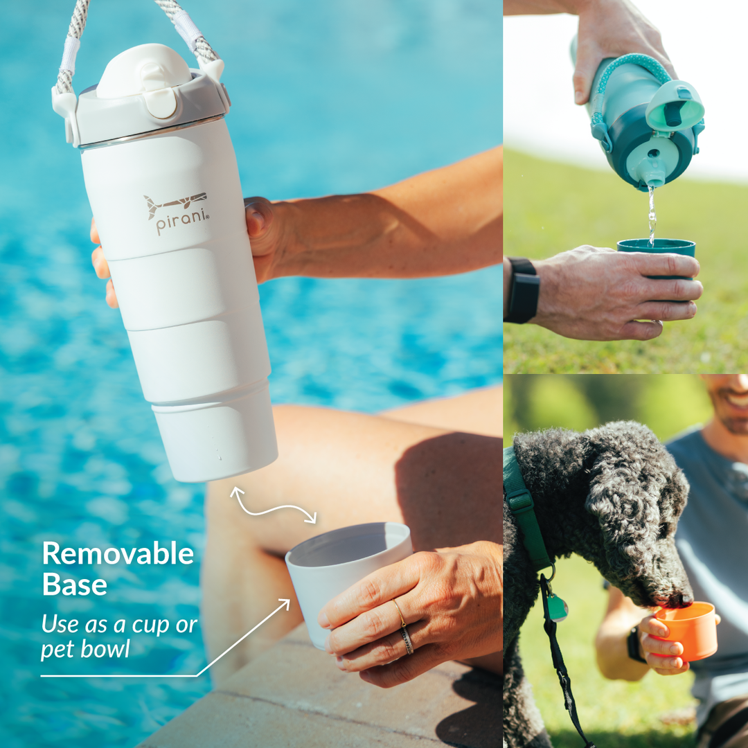 32oz Companion Bottle - Base#color_paradise