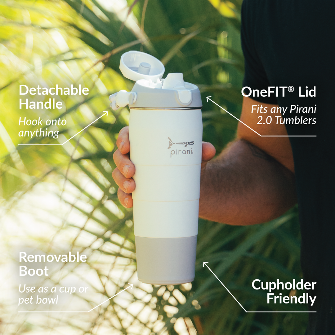 32oz Companion - Insulated Tumbler Bottle
 - Great White#color_great-white