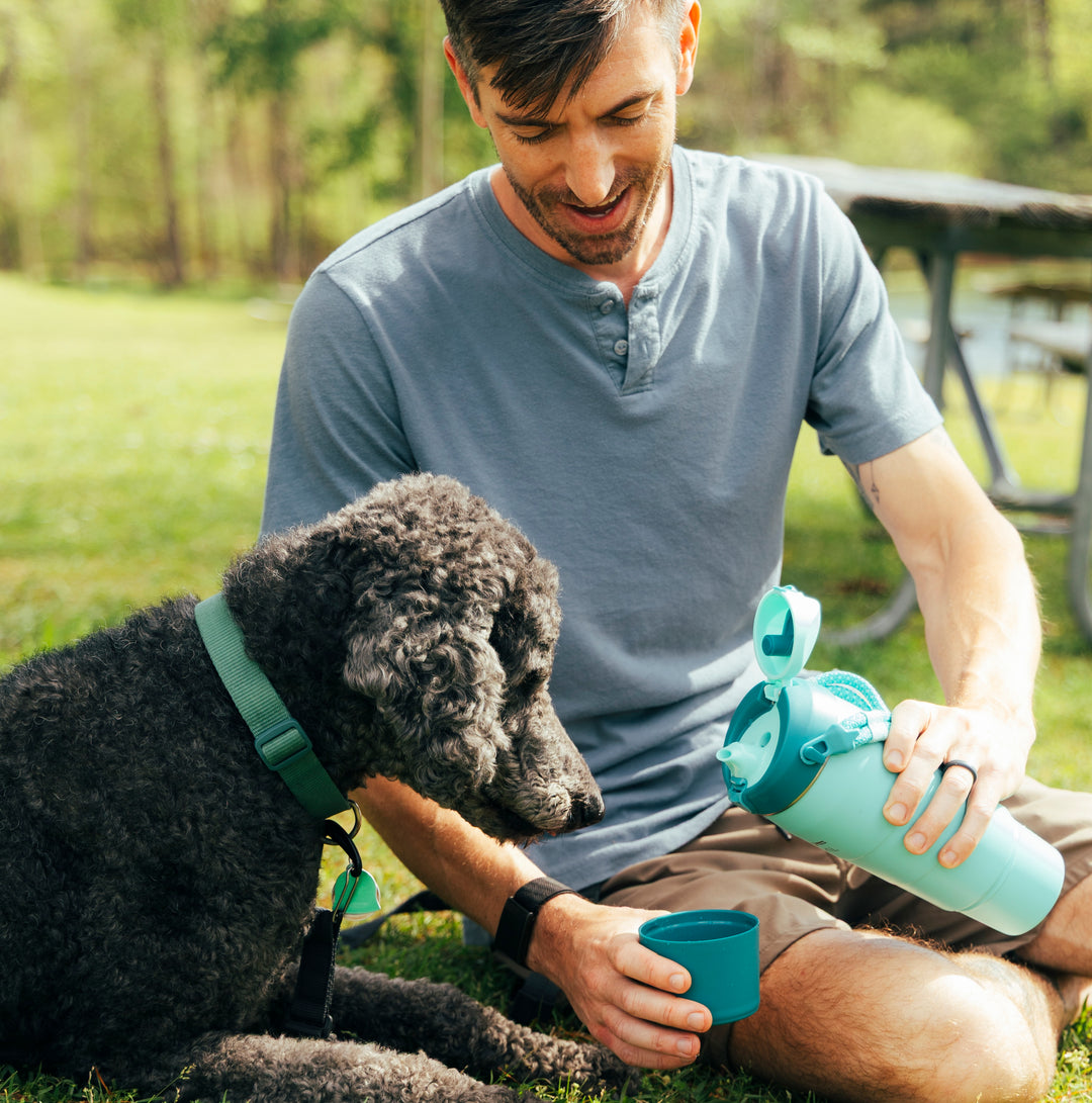 32oz Companion Bottle - Paradise#color_paradise